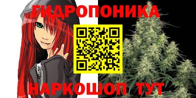 кокс Кунгур