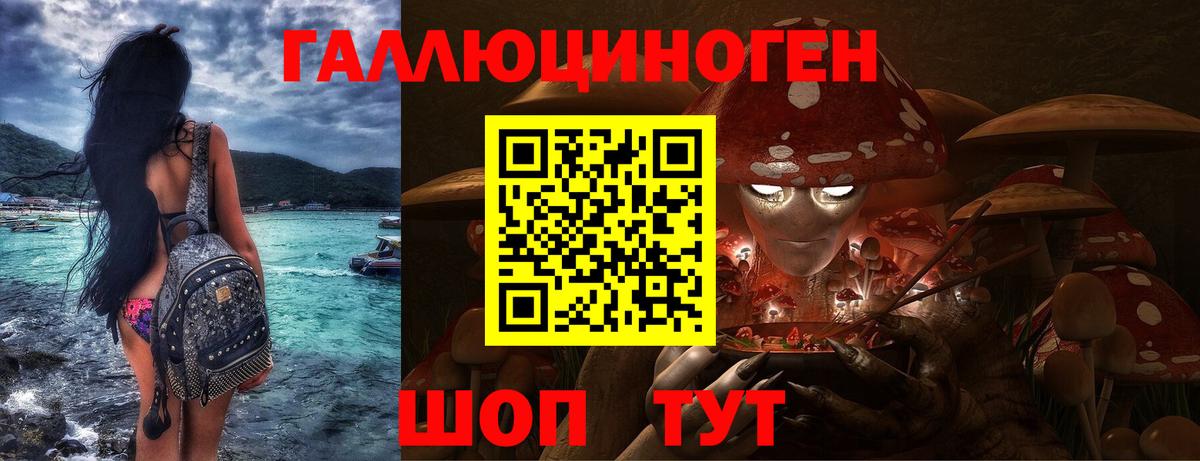 Псилоцибиновые грибы Psilocybe Камень-на-Оби