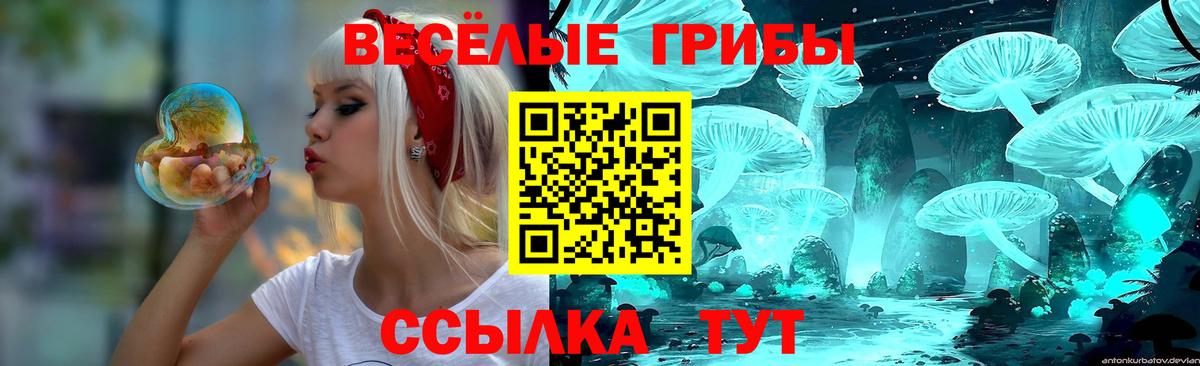 Псилоцибиновые грибы Cubensis  Вход с VPN  дарнет шоп  Камень-на-Оби 